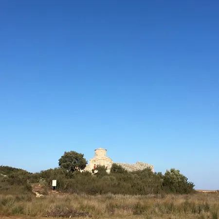 Elvis Pensión 4*